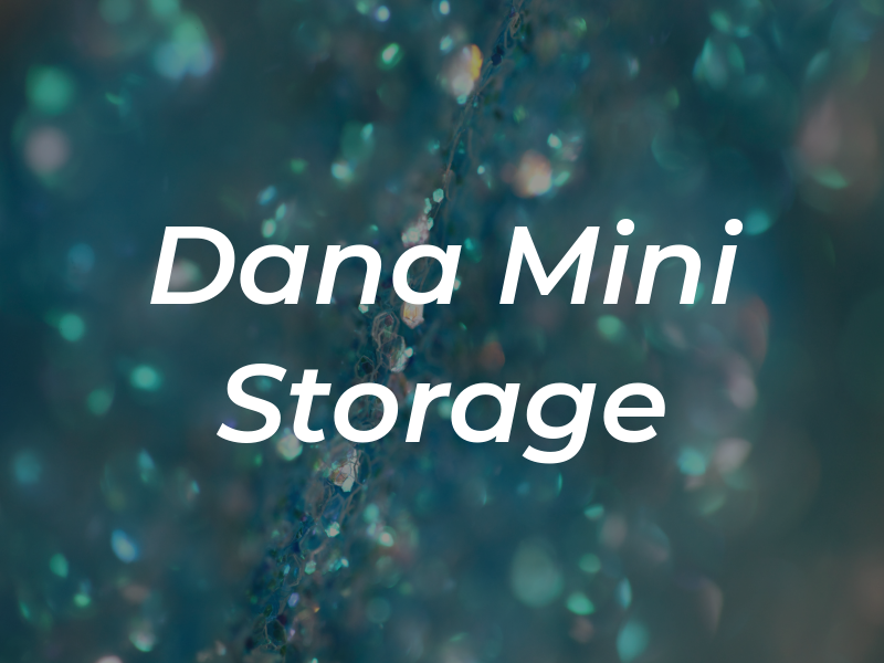 Dana Mini Storage