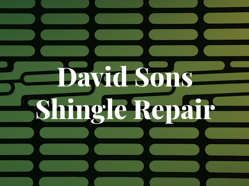 David & Sons Shingle Repair