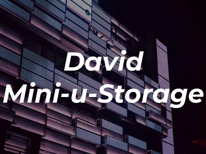 David Mini-u-Storage