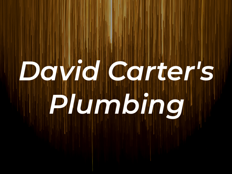 David Carter's Plumbing