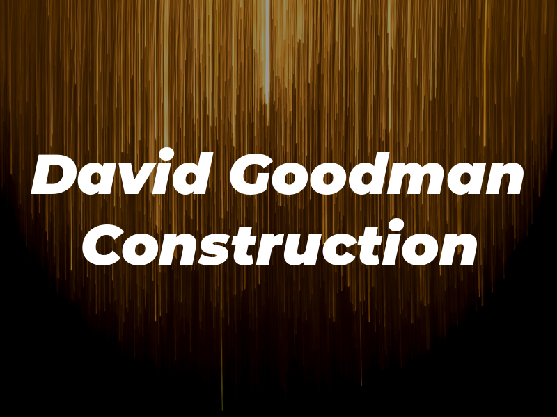 David S Goodman Construction Inc