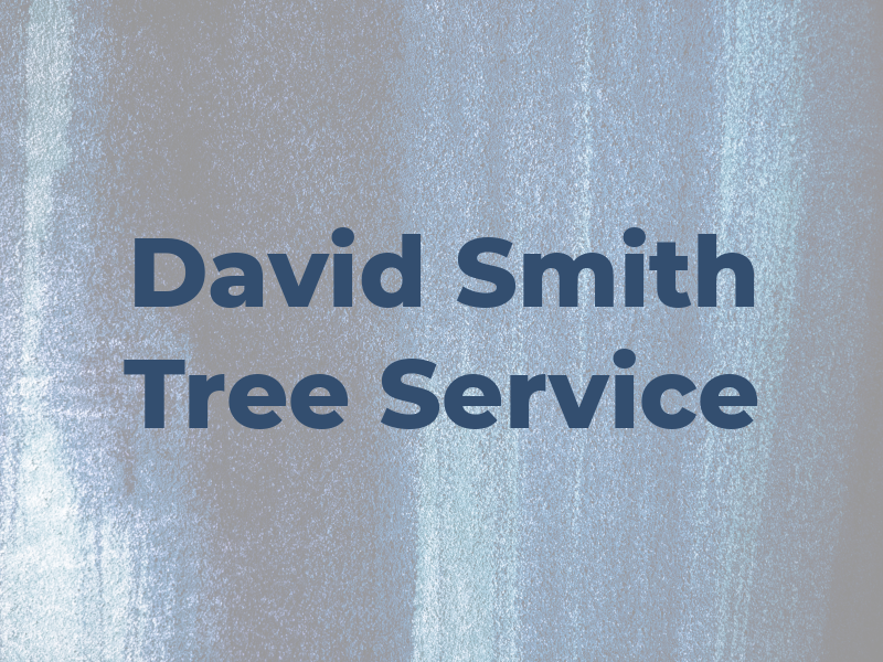 David Smith Tree Service
