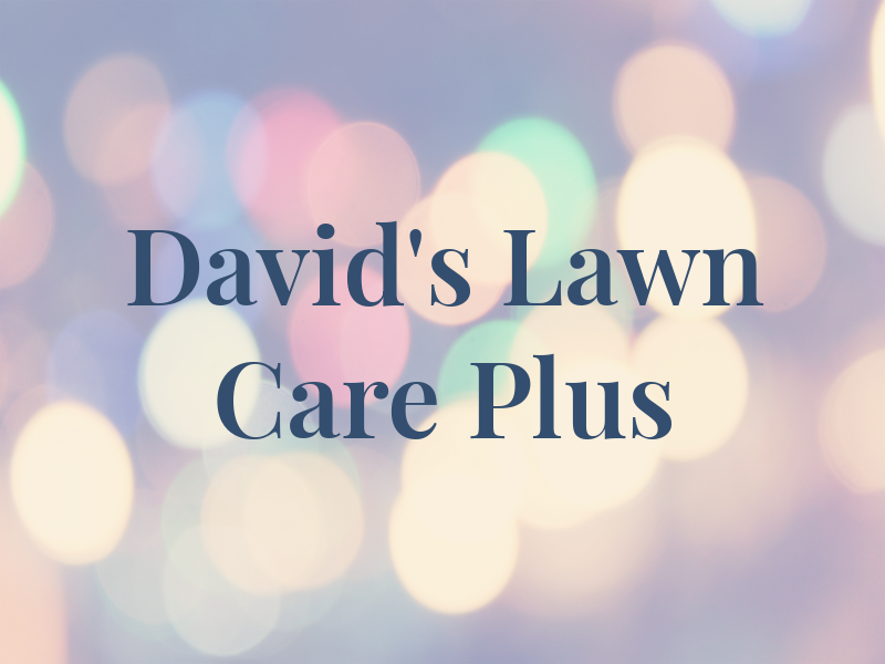 David's Lawn Care Plus
