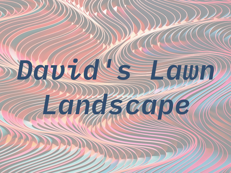 David's Lawn and Landscape