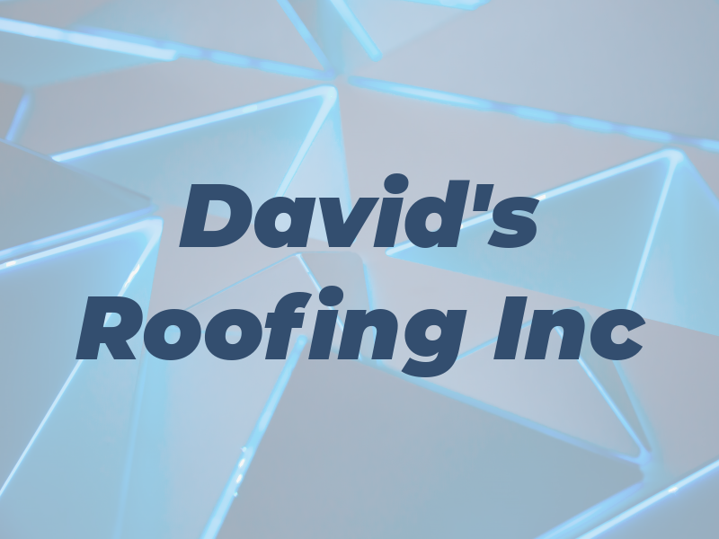 David's Roofing Inc