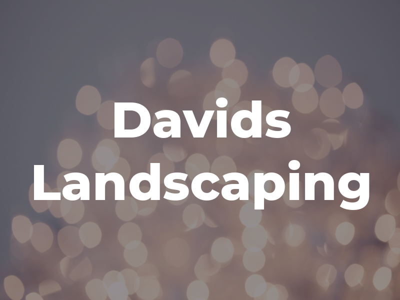 Davids Landscaping
