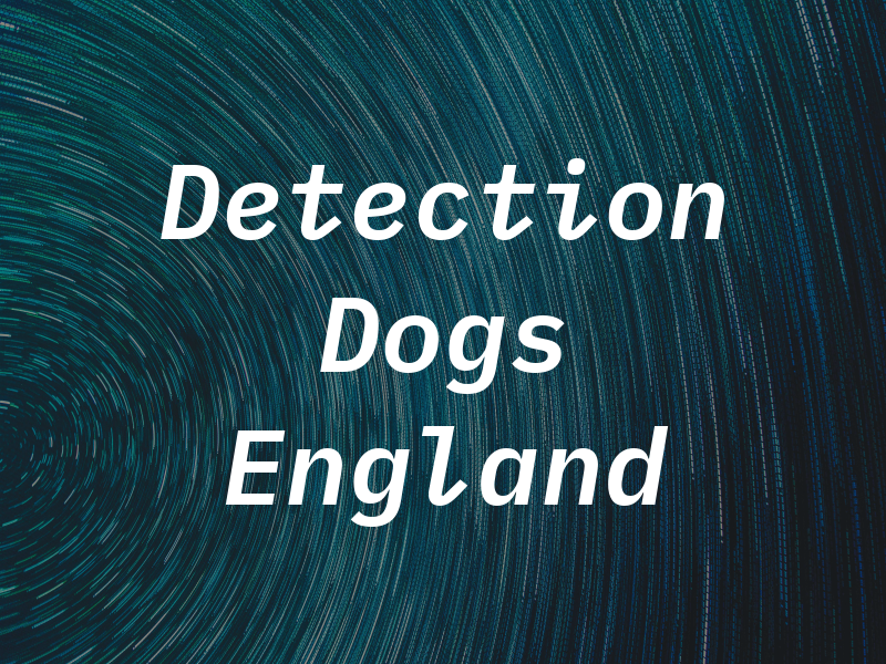 Detection Dogs New England Llc