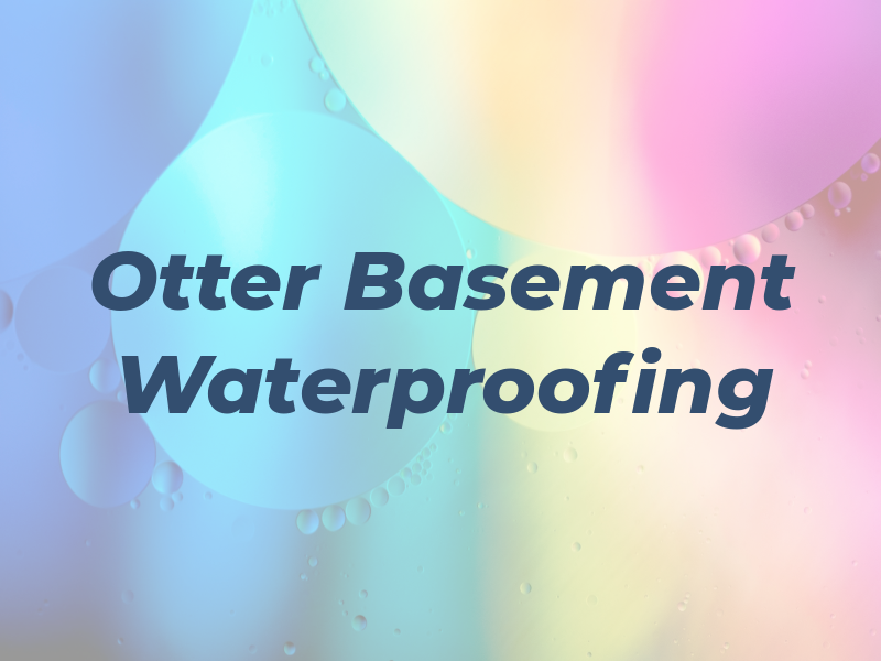 Dry Otter Basement Waterproofing