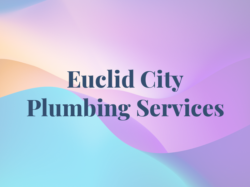 Euclid City Plumbing Services