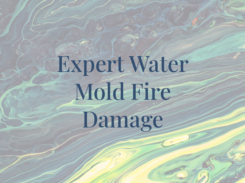 Expert Water Mold Fire Damage