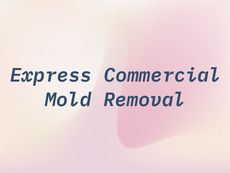 Express Commercial Mold Removal