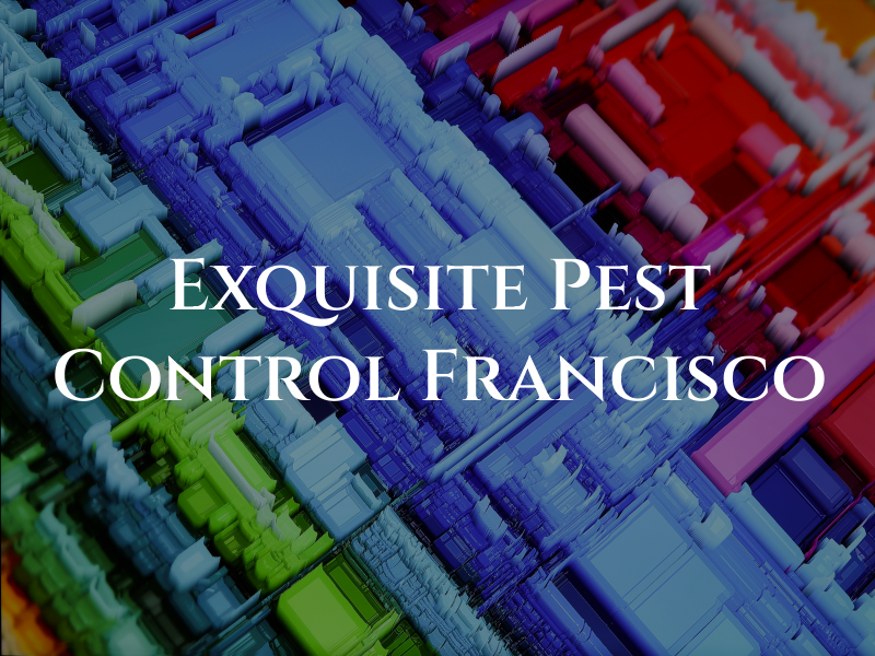 Exquisite Pest Control San Francisco CA