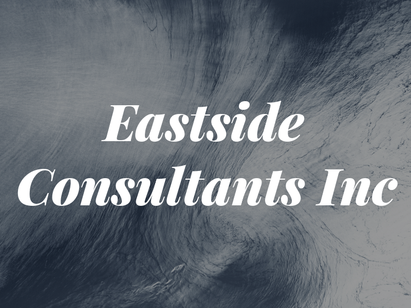 Eastside Consultants Inc