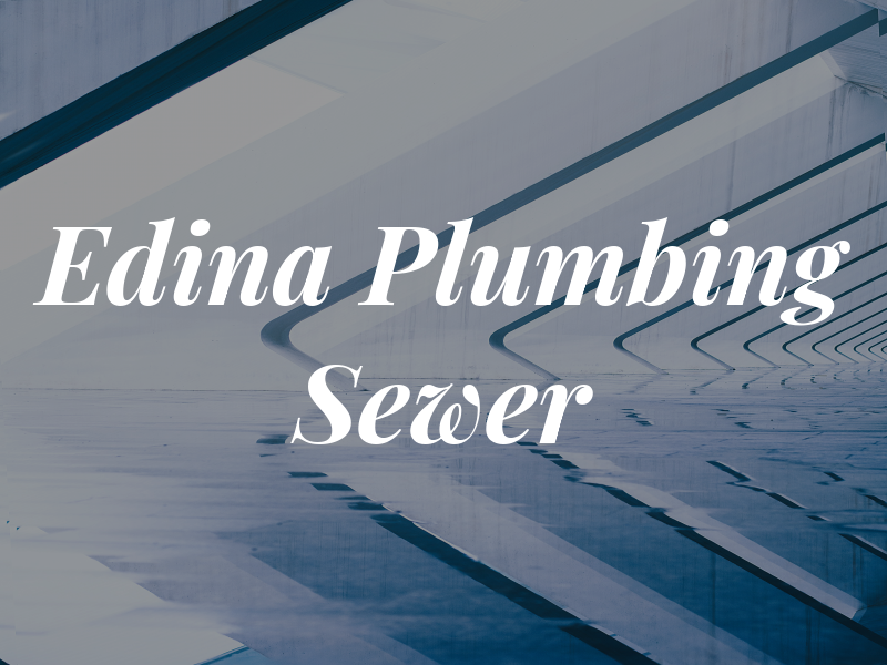 Edina Plumbing & Sewer Inc