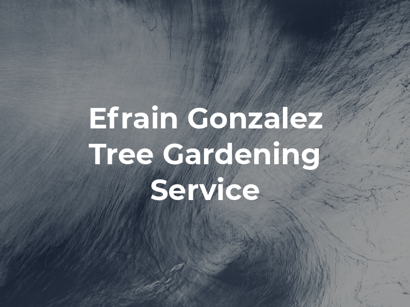 Efrain Gonzalez Tree & Gardening Service