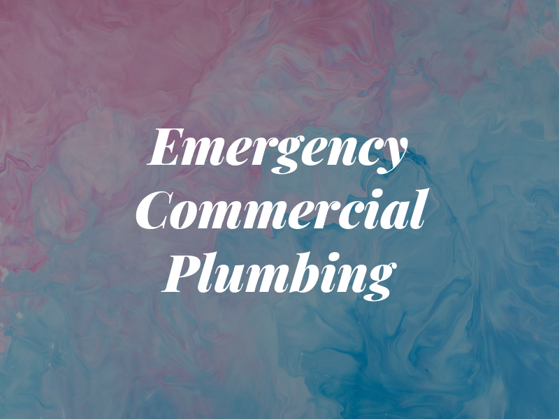 Emergency Commercial Plumbing Co