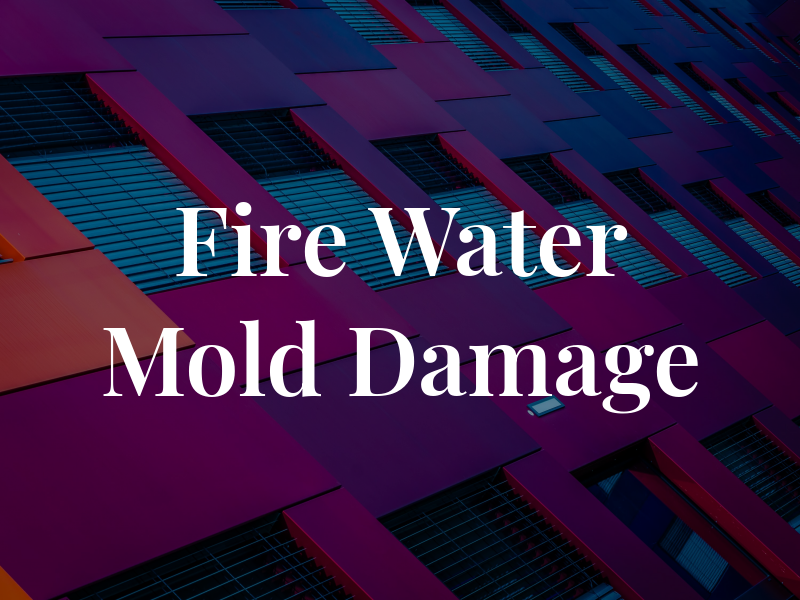 Fire Water Mold Damage
