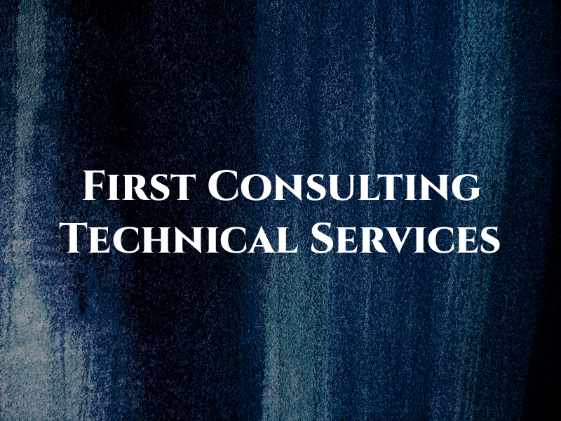First Consulting and Technical Services
