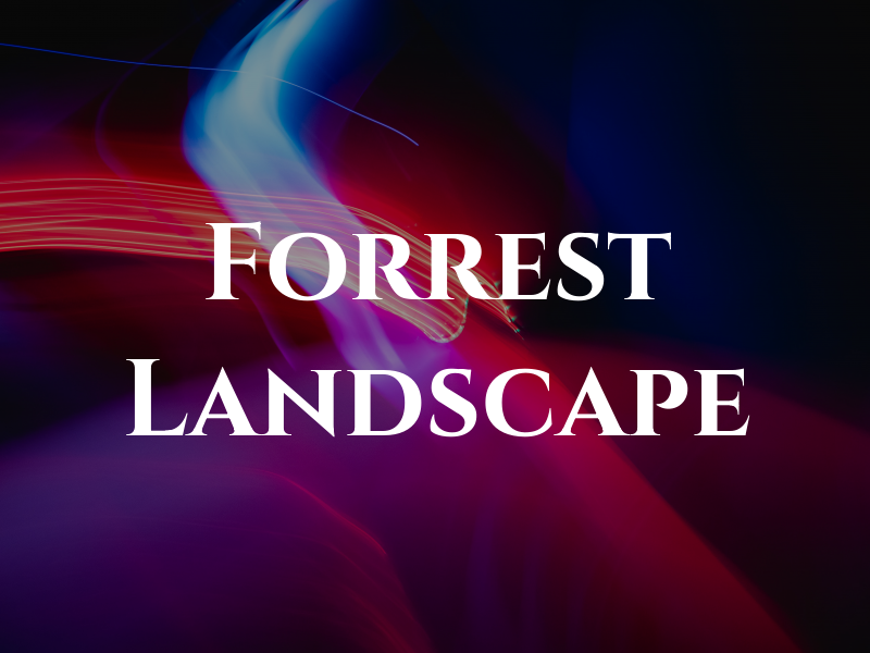 Forrest Landscape