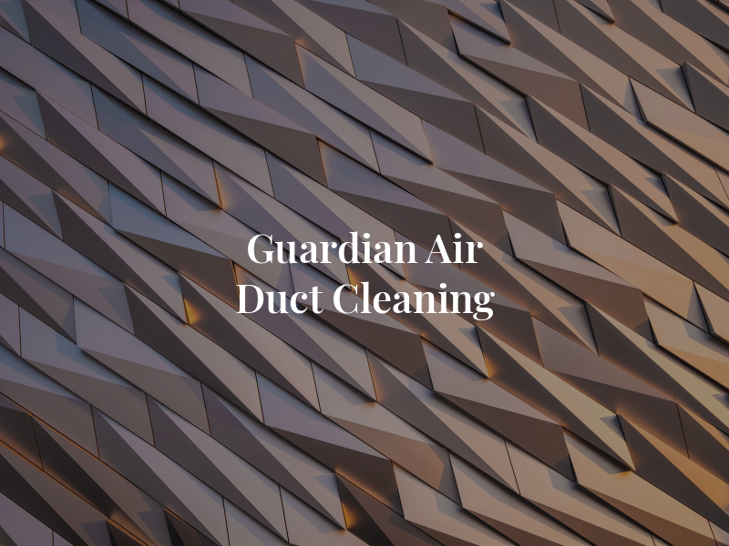 Gu​ardi​an A​i​r D​uc​t Cl​ean​ing