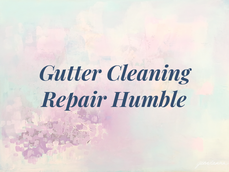 Gutter Cleaning & Repair Humble