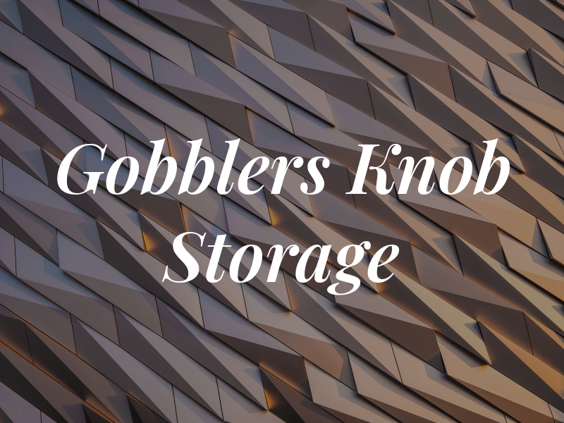 Gobblers Knob Storage Inc