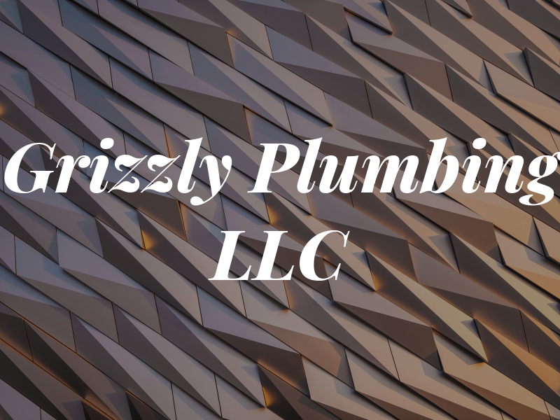 Grizzly Plumbing LLC