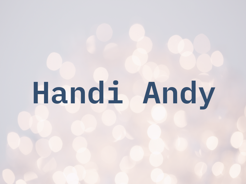 Handi Andy