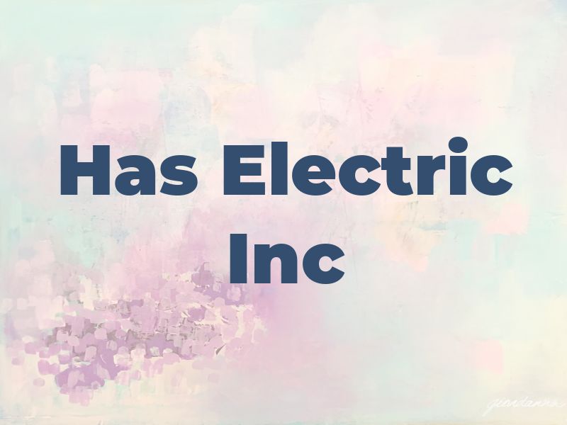 Has Electric Inc