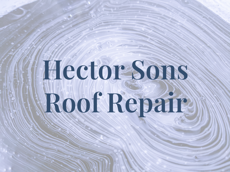 Hector & Sons Roof Repair