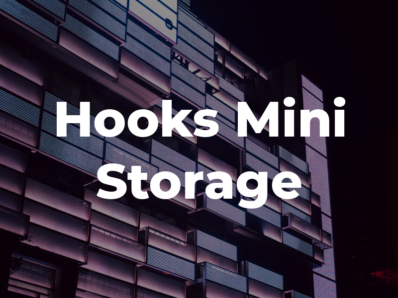 Hooks Mini Storage