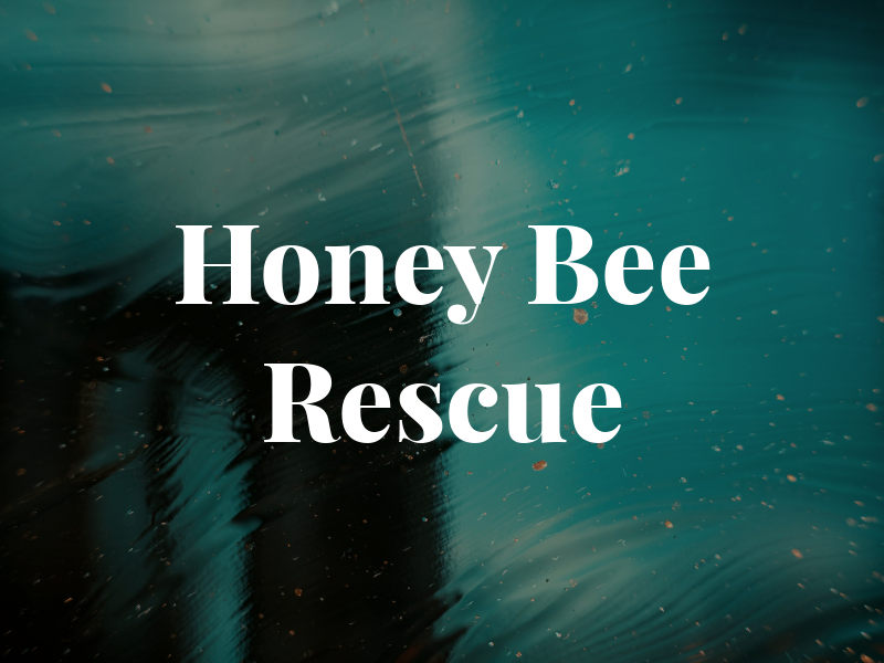 Honey Bee Rescue