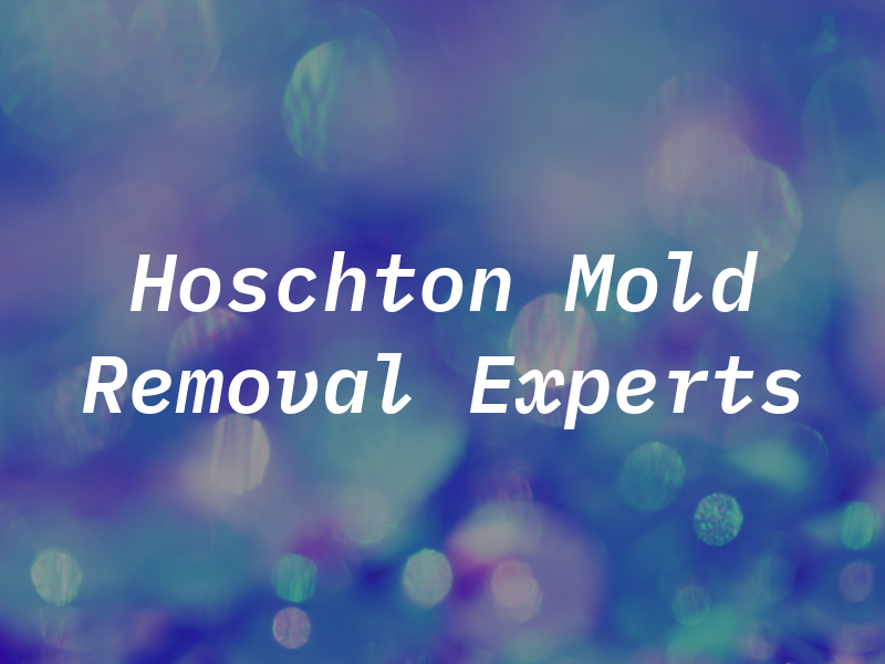 Hoschton Mold Removal Experts