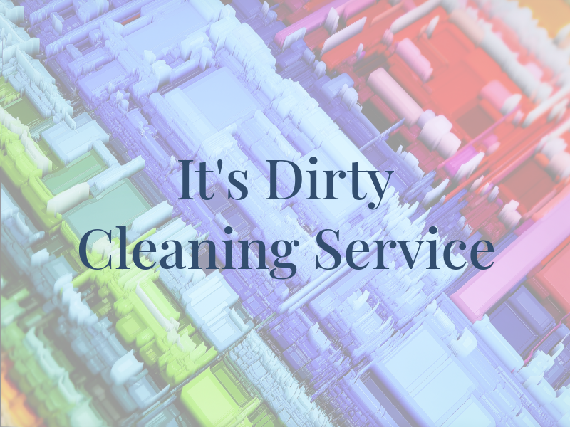 It's A Dirty Job Cleaning Service