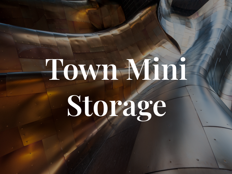 In Town Mini Storage