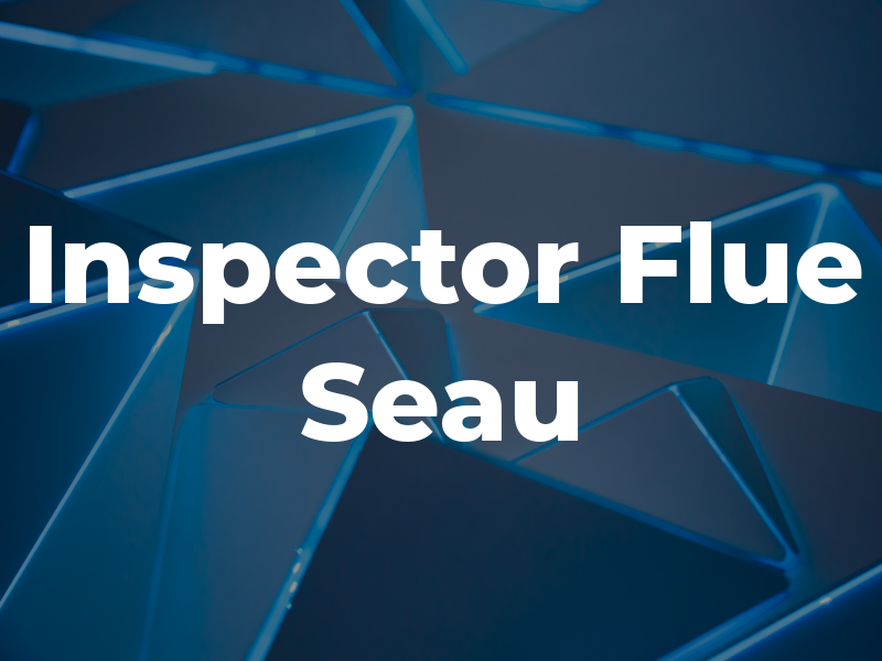 Inspector Flue Seau