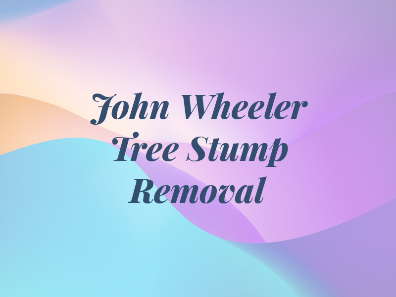 John Wheeler Tree Stump Removal