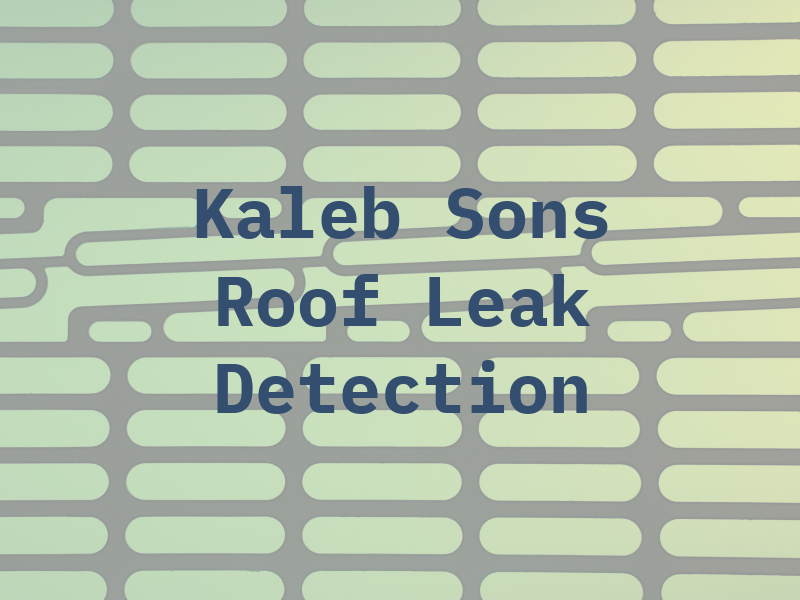 Kaleb & Sons Roof Leak Detection