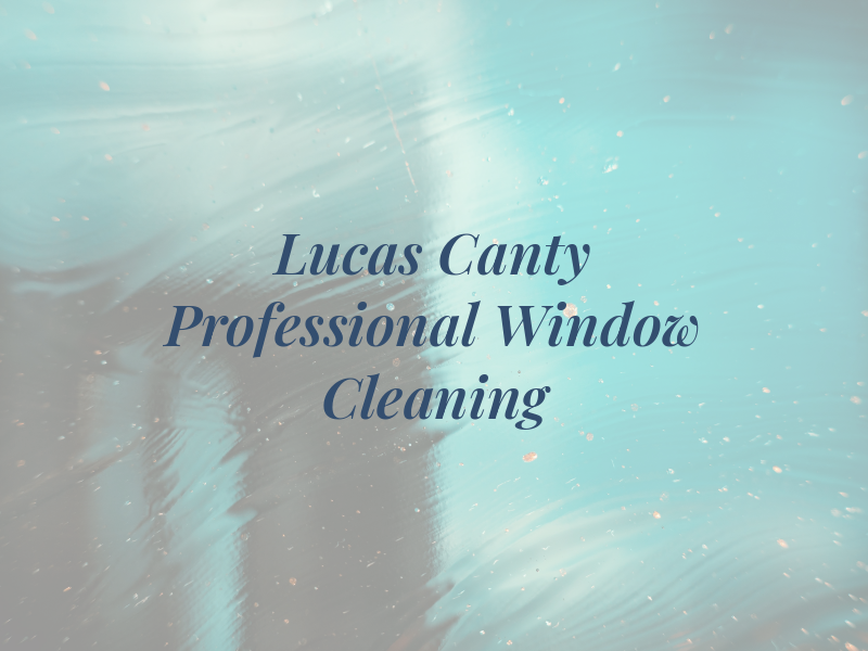 Lucas Canty Professional Window Cleaning