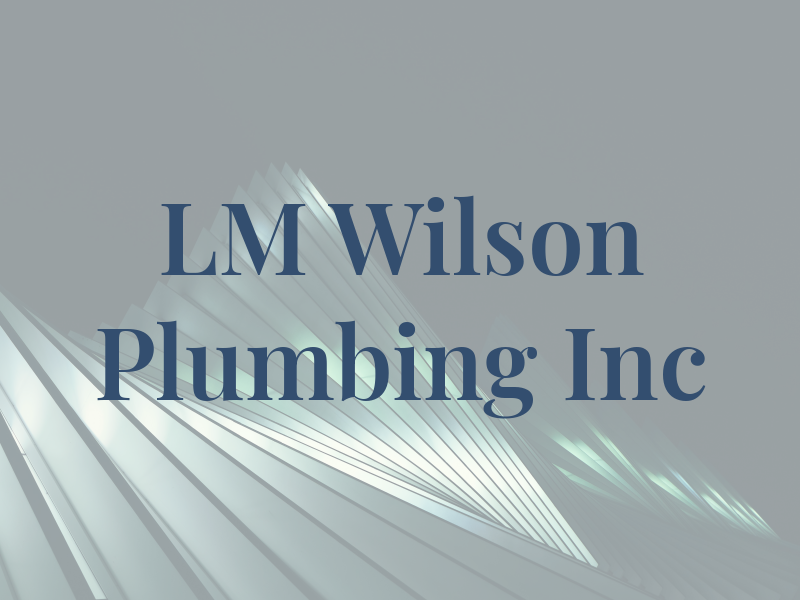 LM Wilson Plumbing Inc