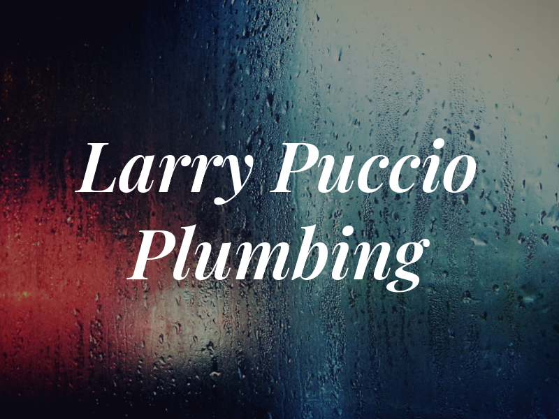 Larry Puccio Plumbing Inc