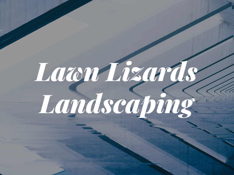 Lawn Lizards Landscaping