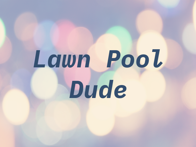 Lawn and Pool Dude