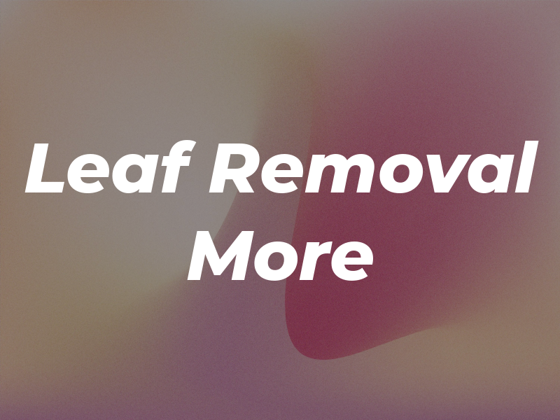 Leaf Removal & More