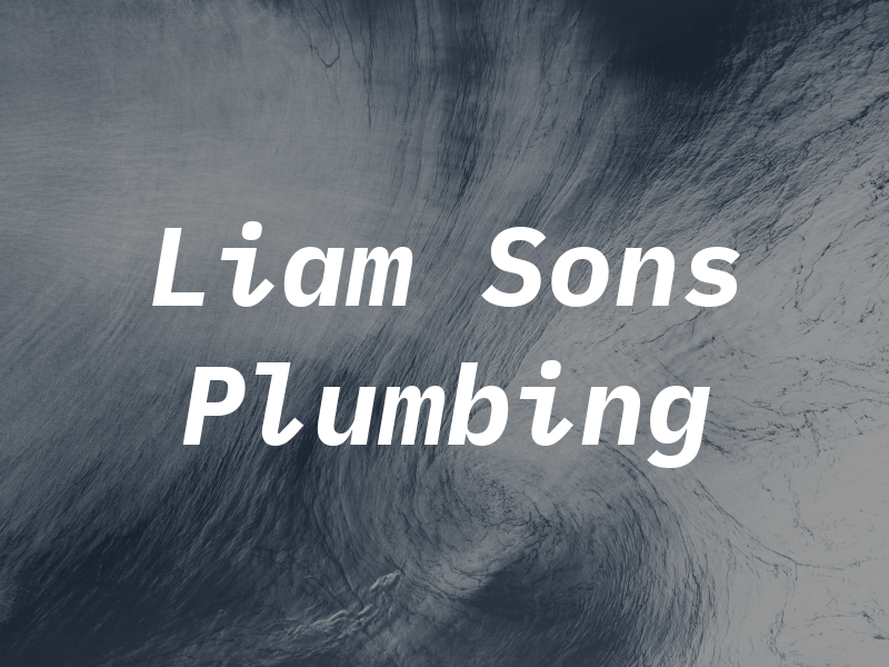 Liam & Sons Plumbing