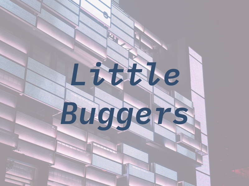 Little Buggers