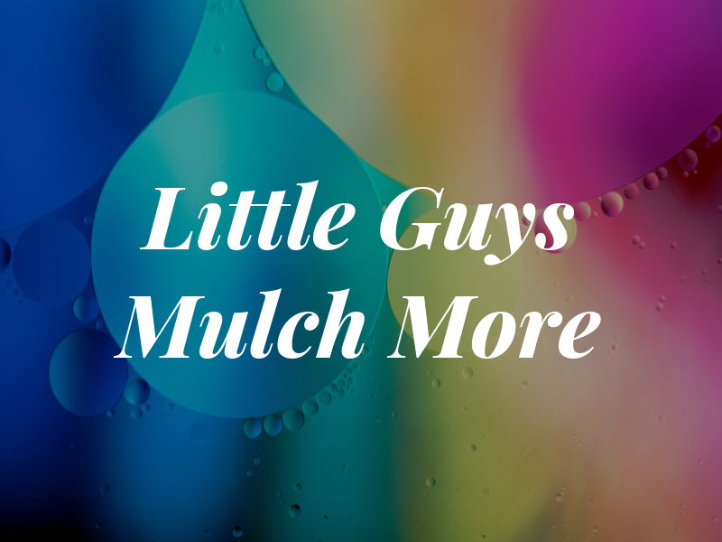 Little Guys Mulch & More