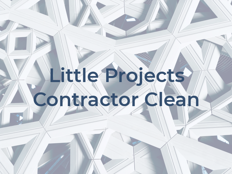 Little Projects Llc Contractor and Clean