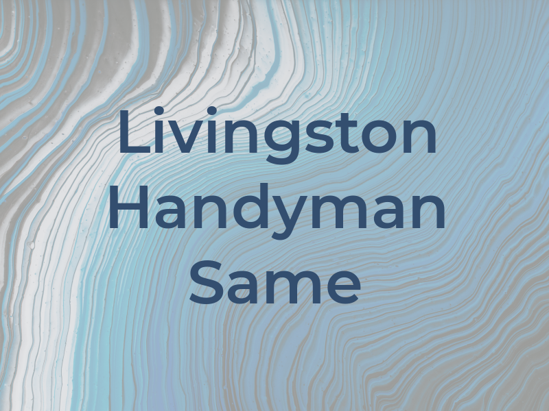 Livingston Handyman Same Day