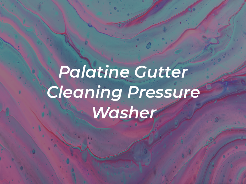 Palatine Gutter Cleaning & Pressure Washer